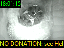 18:01:15
