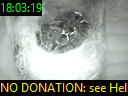 18:03:19