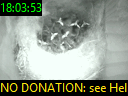 18:03:53