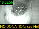 18:03:56