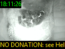 18:11:26