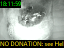 18:11:59