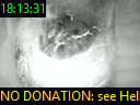 18:13:31