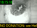 18:15:18