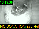 18:19:38