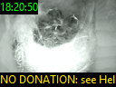 18:20:50