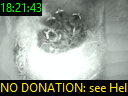 18:21:43
