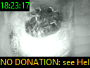 18:23:17