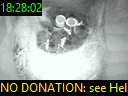 18:28:02