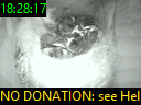 18:28:17