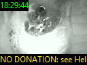 18:29:44