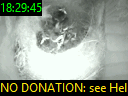 18:29:45