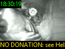 18:30:19