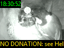 18:30:52