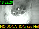 18:32:20