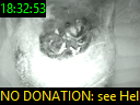 18:32:53