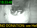 18:33:48