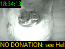 18:34:13