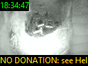 18:34:47