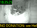 18:35:25