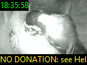 18:35:58