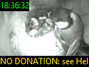 18:36:32