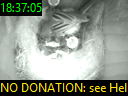 18:37:05