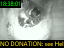 18:38:01
