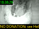 18:38:29