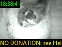 18:38:41