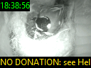 18:38:56