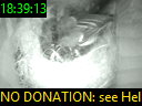 18:39:13
