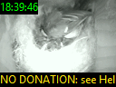 18:39:46