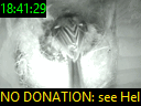 18:41:29
