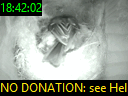18:42:02