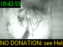 18:42:55