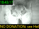 18:43:17