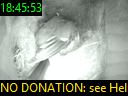 18:45:53