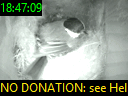 18:47:09