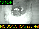 18:48:44