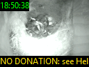 18:50:38