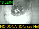 18:52:04