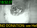 18:52:37