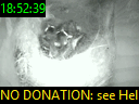 18:52:39