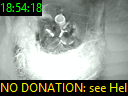 18:54:18