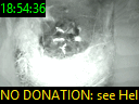 18:54:36