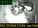 18:55:10