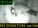 18:55:43