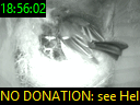 18:56:02
