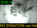 18:56:14